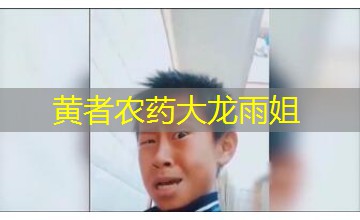 黄者农药大龙雨姐