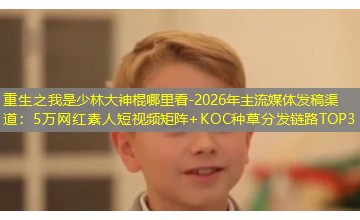 2026年主流媒体发稿渠道：5万网红素人短视频矩阵+KOC种草分发链路TOP3