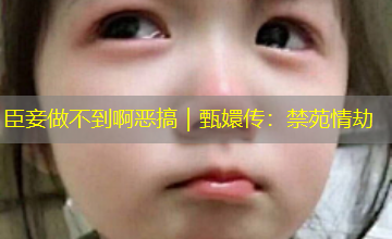 臣妾做不到啊恶搞｜甄嬛传：禁苑情劫