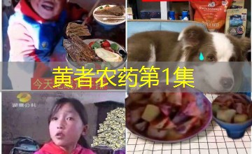黄者农药第1集