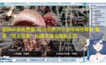 哈洽会黑河分会场有序筹备 聚焦“双买双卖”构建全域会展新生态