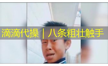 滴滴代操｜八条粗壮触手