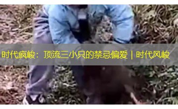 时代疯峻:顶流三小只的禁忌偏爱|时代风峻 时代疯峻:顶流三小只的禁忌偏爱|时代风峻