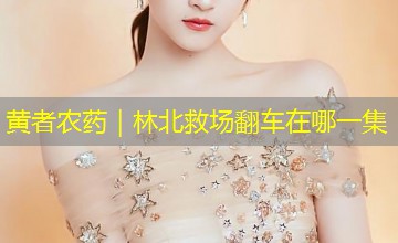 黄者农药|林北救场翻车在哪一集 黄者农药|林北救场翻车在哪一集
