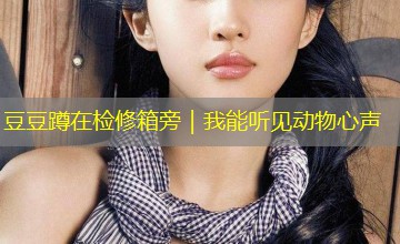 豆豆蹲在检修箱旁|我能听见动物心声 豆豆蹲在检修箱旁|我能听见动物心声