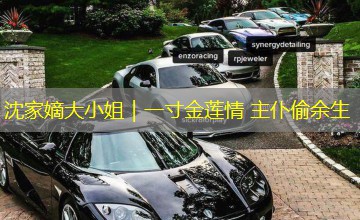 沈家嫡大小姐|一寸金莲情 主仆偷余生 沈家嫡大小姐|一寸金莲情 主仆偷余生
