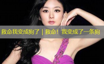 救命我变成狗了|救命!我变成了一条狗 救命我变成狗了|救命!我变成了一条狗