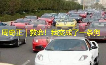 周奇正|救命!我变成了一条狗 周奇正|救命!我变成了一条狗