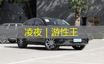 凌夜|游性王 凌夜|游性王