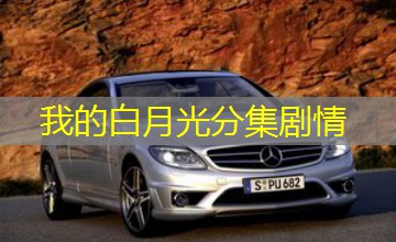 我的白月光分集剧情