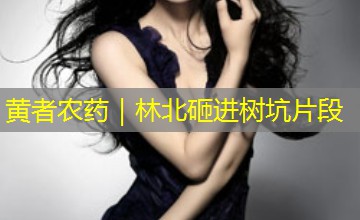 黄者农药｜林北砸进树坑片段