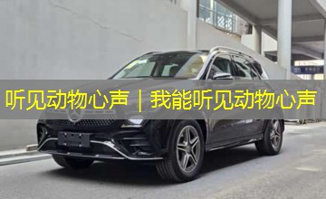 听见动物心声|我能听见动物心声 听见动物心声|我能听见动物心声