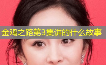 金鸡之路第3集讲的什么故事