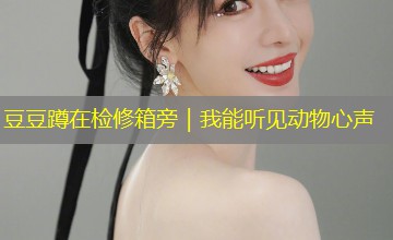 豆豆蹲在检修箱旁|我能听见动物心声 豆豆蹲在检修箱旁|我能听见动物心声