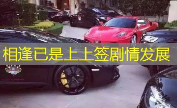 相逢已是上上签剧情发展
