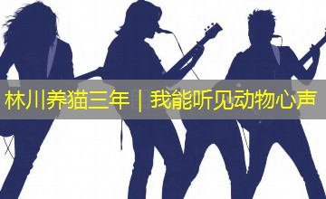 林川养猫三年|我能听见动物心声 林川养猫三年|我能听见动物心声