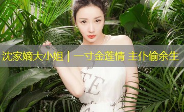 沈家嫡大小姐|一寸金莲情 主仆偷余生 沈家嫡大小姐|一寸金莲情 主仆偷余生