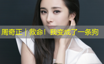 周奇正|救命!我变成了一条狗 周奇正|救命!我变成了一条狗