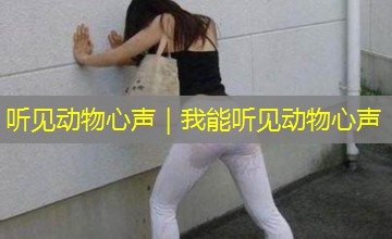 听见动物心声|我能听见动物心声 听见动物心声|我能听见动物心声